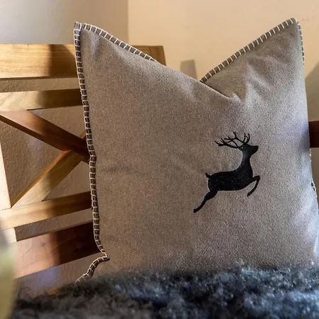 Dependance Faschl Апартаменты Гозау